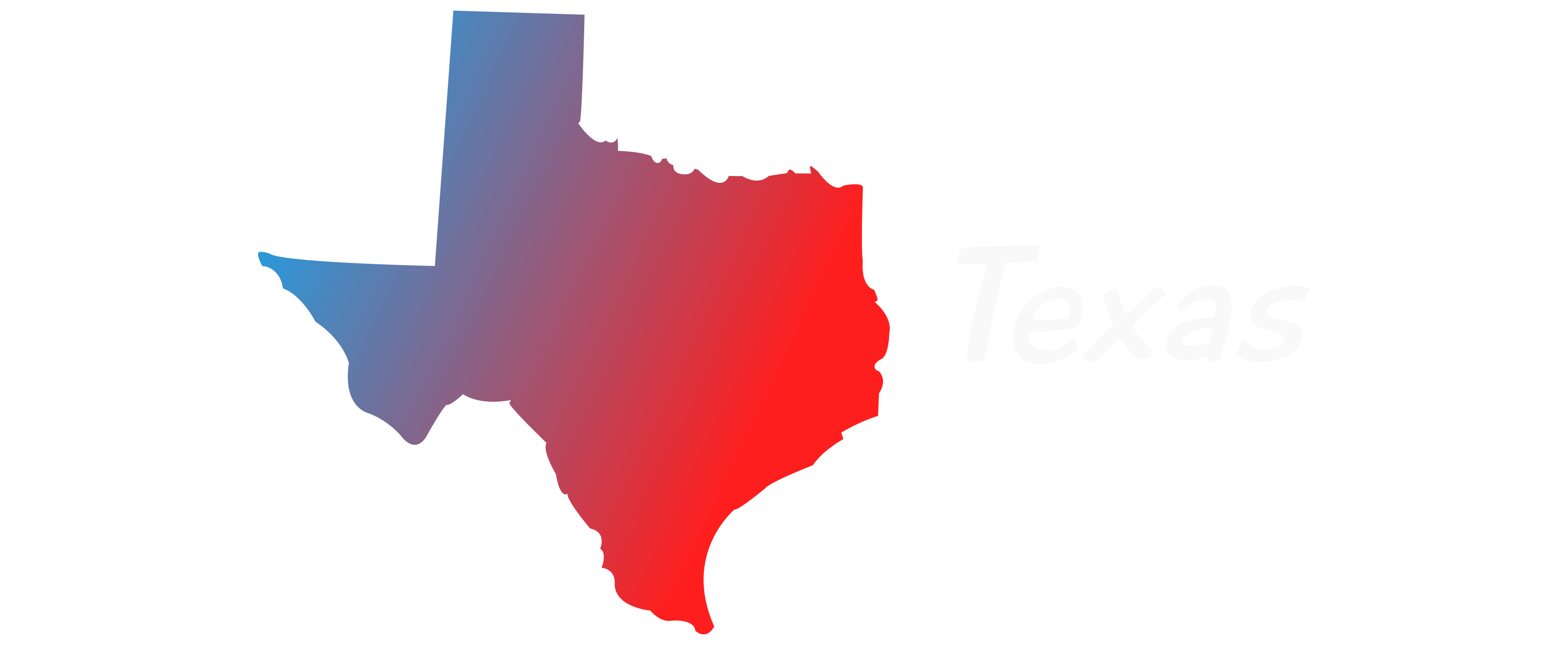 State Of Texas Logo