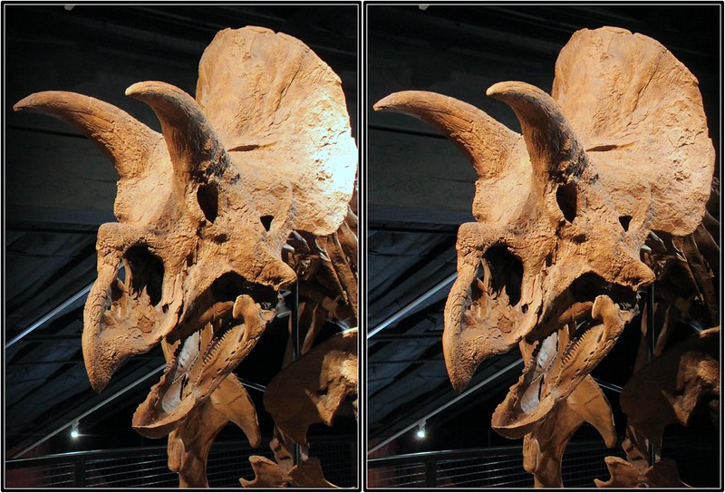 Sign of Austin City Limits